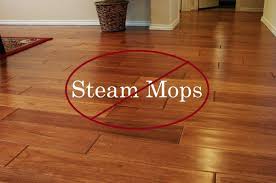 shark steam mop damage wood floors