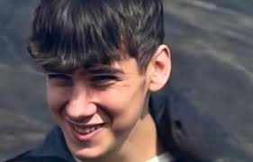 The Greystones Guide