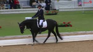 His score of 76.265 put him ahead of austria's pepo puch, who rode sailor's blue to earn 73.44. Osterreichische Meisterschaft 1 Platz Pepo Puch 2 Teilbewerb Musikkur Om Para Dressur Youtube