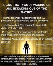 Pin By Alice Murphy On Awakened Life Soul Quotes Free Mind Past Life