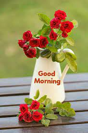 Beautiful Good Morning Images With Flowers In 2021 Good Morning Flowers Gif Good Morning Flowers Pictures Good Morning Flowers