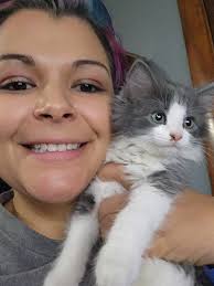 Loss of beloved pet cat in Lee's Summit MO