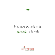 Amor A La Vida Frases De Egoismo Frases Bonitas Frases Increibles