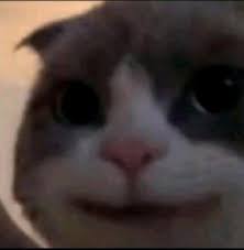 Unduh dan gunakan 9.000+ foto stok kucing secara gratis. Kucing Cabul Viral Tiktok Di 2021 Anak Kucing Gemas Kucing Meme