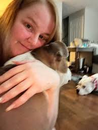 Lost dog found safe in Riverdale