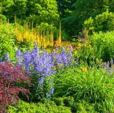 It also provides preferred sun/shade conditions and general growing zones. 25 Best Perennial Flowers Ideas For Easy Perennial Flowering Plants