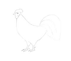 Mewarnai gambar ayam jago gambar hewan warna kartun. Cara Menggambar Seekor Anak Ayam Dan Seekor Ayam Jantan