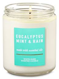 Imagine being in a remote spa, deep in the woods. Eucalyptus Mint Rain Single Wick Candle Bath Body Works Candles Bath And Body Works Lemon Candle