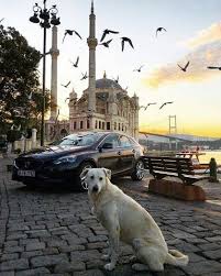 Ortakoy Istanbul Istanbul
