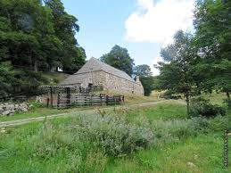La Chartreuse De Bonnefoy Suite Balade En Ardeche Dans La Bulle De Manou En 2020 Ardeche Balade Auvergne