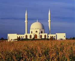 Steady growth for your farm. ç¾Žå›½åŸŽå¸‚åŠä¹¡æ'åœ°åŒºçš„æ¸…çœŸå¯º Shareamerica