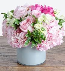 Flowers available for next day flower delivery to celebrate every special occasion. Cotton Candy In Wilmington De Petals Flowers And Fine Gifts