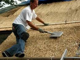 But, as melissa viney discovers, don't expect it to come cheap. Thatch Roofing Youtube