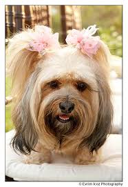 Shawna and Corey at Don Pedro's Palapa, Sayulita