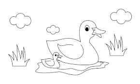 Download Coloring Book Animals Mum And Baby Duck Graphic By Deemka Studio Creative Fabrica