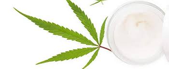 Hanföl spendet tiefe feuchtigkeit, stellt die feuchtigkeit wieder her, um trockene haut zu lindern, und macht. Hanfcreme Im Alltag Wirkungen Anwendungen Erfahrungen