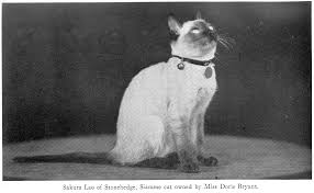 CATS By Eleanor Booth Simmons (1935)