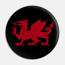 The green and white background, incidentally, comes from the family colours of the tudor dynasty and was added in 1959. Welsh Red Dragon Welsh Prides From Flag Of Wales Dragon Pin Teepublic Au