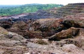 Image result for Sopubia eminii