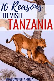 Tanzania is the largest country in east africa. Amazing Tanzania 10 Reasons To Visit Tanzania In 2020