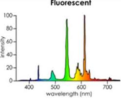 What Does The Spikes And Curves In The Spectral Graph For