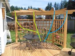 Image result for pruning grapes on a pergola