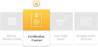 International Gem Society Igs Information And Educational Services For Everyone Interested In Gemstones Educational Service Education Rock Identification