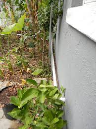 a greywater oasis: reusing kitchen sink