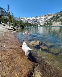 We did not find results for: Explore 10 Of The Best Hikes In Mammoth Lakes California Including Thousand Island Lake Convict Lake Loop Mammoth Lakes Mammoth Lakes California Best Hikes