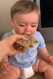 Moment gummy one-year-old desperate for a bite of his mom's sandwich gets  frustrated