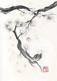 Cherry Blossoms By Elizabeth Morrissey Cherry Blossom Drawing Cherry Blossom Art Pencil Drawings