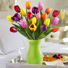 We did not find results for: What Are Traditional Mother S Day Flowers Proflowers Blog