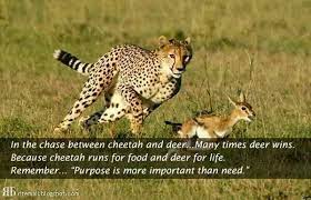 Pin On Favorite Memes