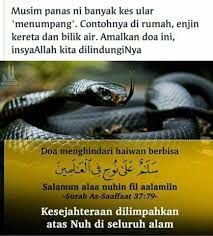 Kumpulan doa dalam alquran &a. Artikel Cara Mencegah Binatang Berbisa Masuk Rumah Hbs Blog Hakana Borneo Sejahtera