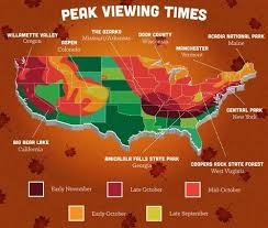 Fall Foliage Map For The Continental U S In 2019