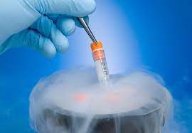 How to prepare to freeze the eggs? Freezing Your Eggs The Pros Cons Health Essentials From Cleveland Clinic