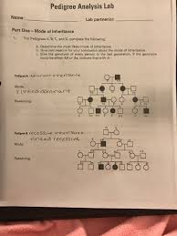 Brainpop answer keys internet search pdf online. Solved Analysis Of Human Pedigrees Part One Mode Of Inh Chegg Com