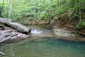 Trivago.com has been visited by 100k+ users in the past month Blue Hole Spring Forbes State Forest Pa Home Facebook