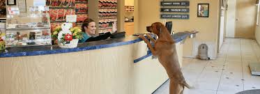 Pals east bay in oakland; Top Rated Local Veterinarians Countryside Veterinary Clinic