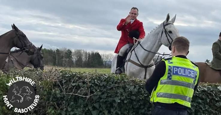It's not a few bad apples - hunting is rotten to the core - Hunt Saboteurs Association