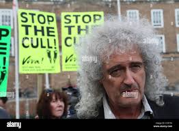 Team badger hi-res stock photography and images