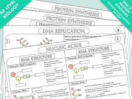 Dna model and worksheet d = deoxyribo n = nucleic a = acid dna contains the information for carrying out the activities of a cell. A Level Biology Worksheet Pack On Dna And Protein Synthesis Teaching Resources