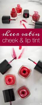 lip sn and other lip makeup