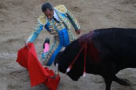 Castella sale por la puerta grande y se postula al trofeo en Cali – El Sol  de la Florida