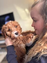 I just can't believe how much I love her already😭😭😭😭🥹🥹🥹