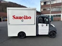 Image result for Blanc 2008 Aixam-Mega