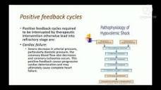 Pathophysiology of circulatory shock: - YouTube