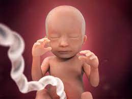 18 Weeks Pregnant Fetal Development Babycentre Uk