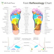 Acupuncture Points Meridians Online Charts Collection