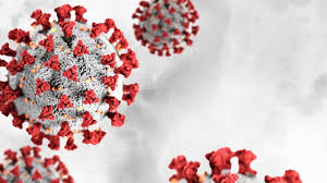 Remdesivir Prevents Disease Progression in Monkeys With COVID-19 ...